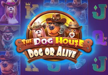 Слот The Dog House Dog Or Alive в Gold Casino
